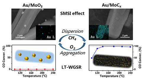 載體強(qiáng)相互作用 載體強(qiáng)相互作用